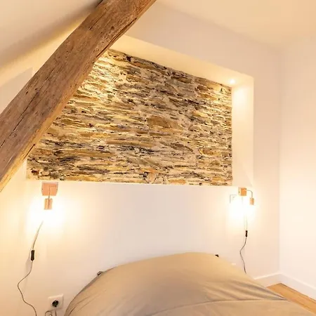 Le Khalo - Chateau D'angers - La Bonne Marienne Apartmán