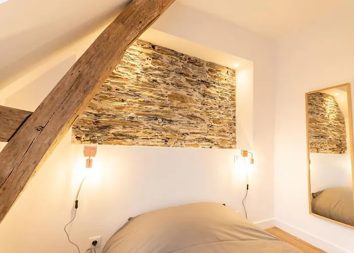 Le Khalo - Chateau D'angers - La Bonne Marienne Lejlighed