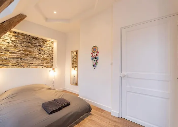 Le Khalo - Chateau D'angers - La Bonne Marienne Lejlighed Angers